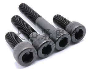 Hexagon socket head bolt